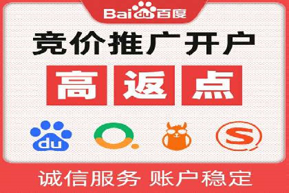 竞价推广实战：成功案例背后的技巧揭秘